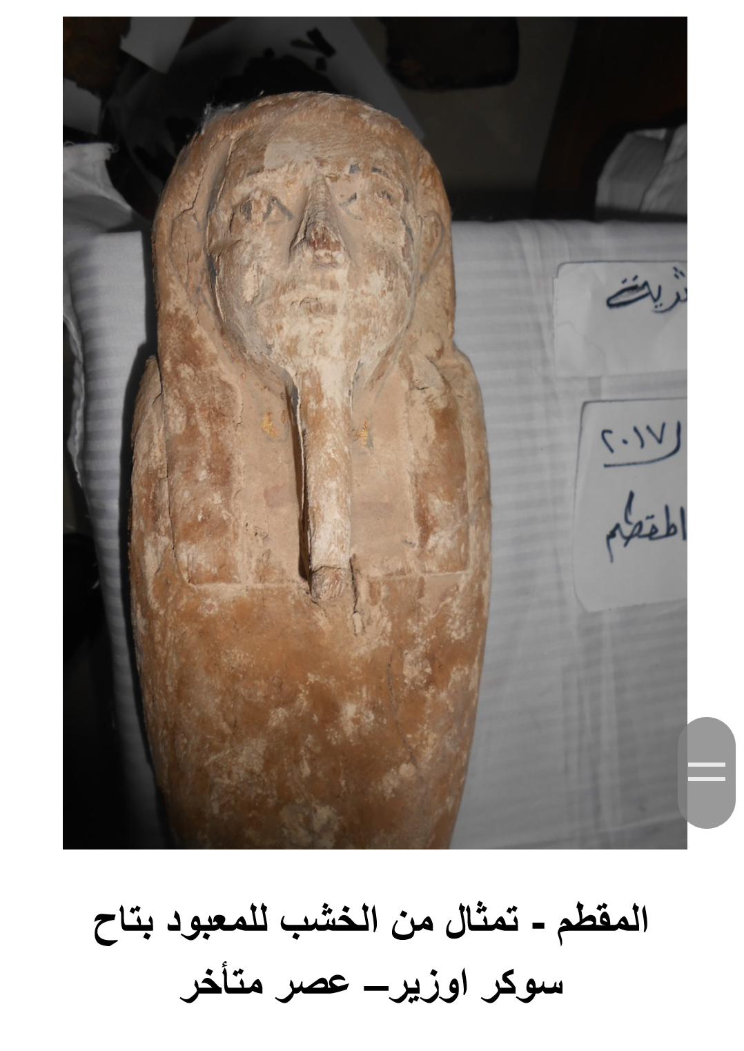 بالصور .. حصاد عام من المضبوطات الأثرية